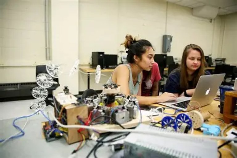 TDSB to Offer Summer STEM Camps for Underrepresented Youth